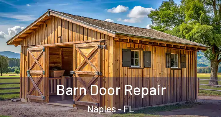  Barn Door Repair Naples - FL