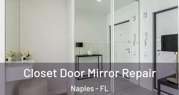  Closet Door Mirror Repair Naples - FL