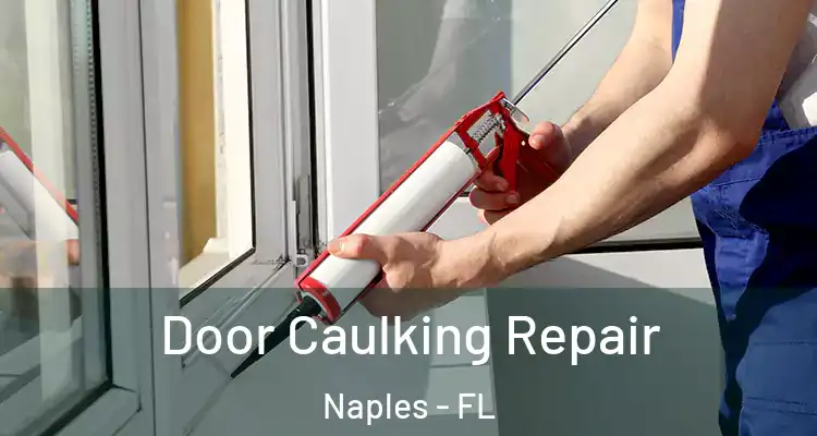  Door Caulking Repair Naples - FL