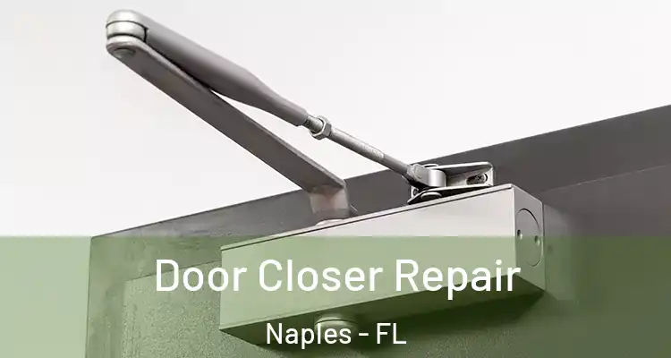  Door Closer Repair Naples - FL