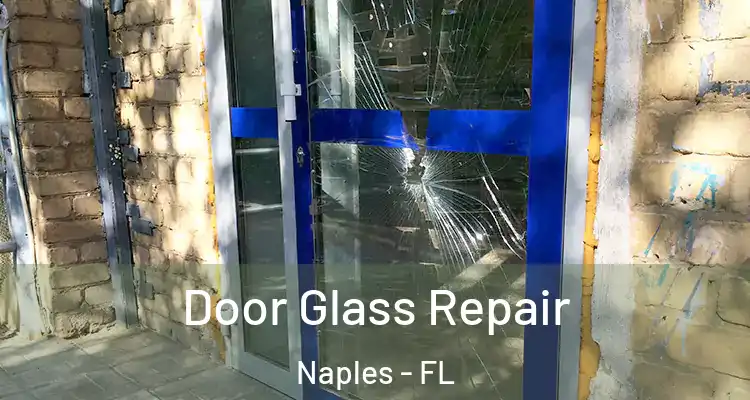  Door Glass Repair Naples - FL