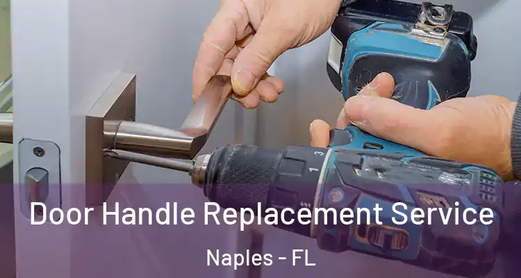  Door Handle Replacement Service Naples - FL
