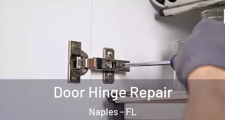  Door Hinge Repair Naples - FL