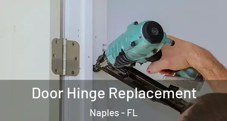  Door Hinge Replacement Naples - FL