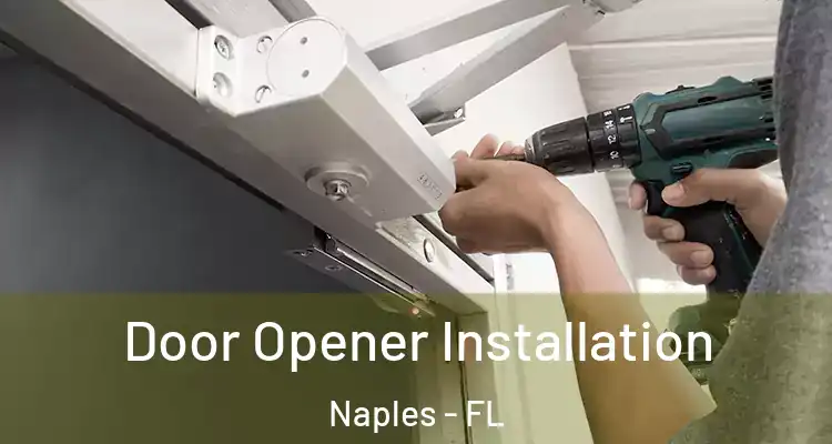 Door Opener Installation Naples - FL