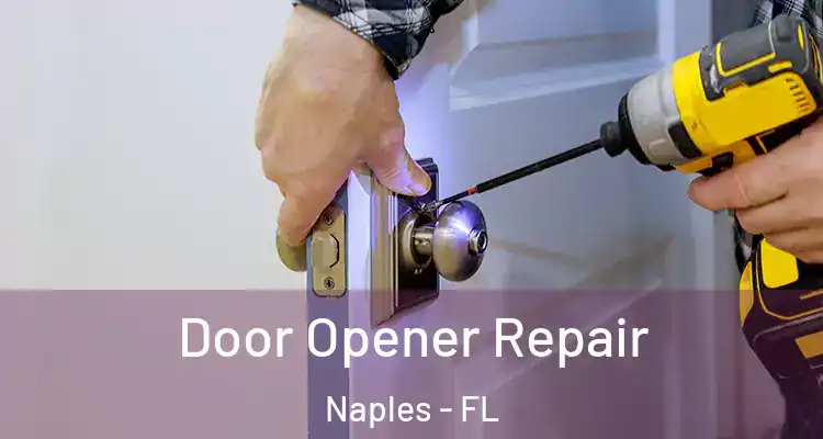  Door Opener Repair Naples - FL