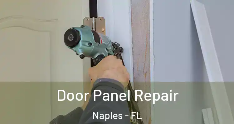  Door Panel Repair Naples - FL