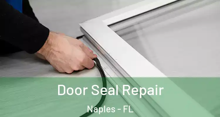  Door Seal Repair Naples - FL