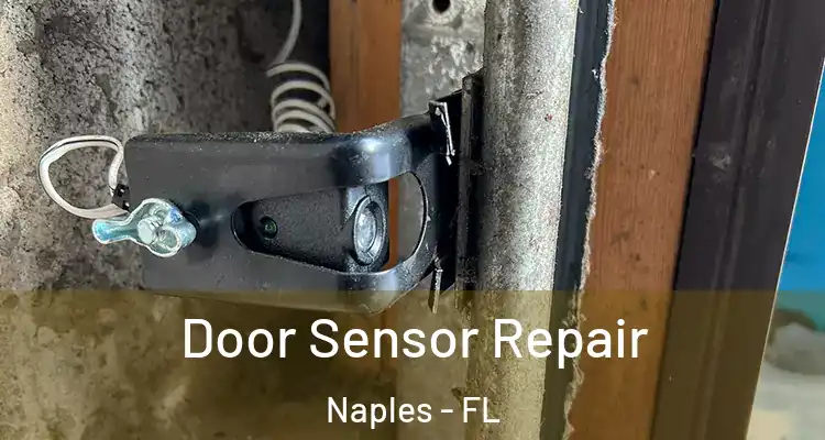  Door Sensor Repair Naples - FL