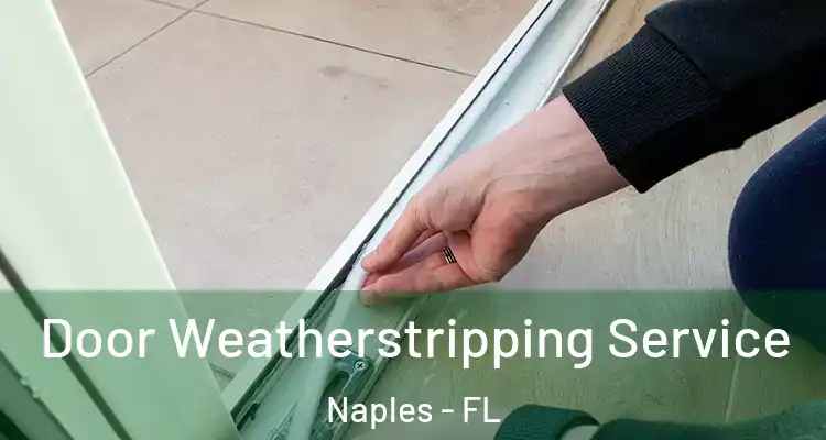  Door Weatherstripping Service Naples - FL
