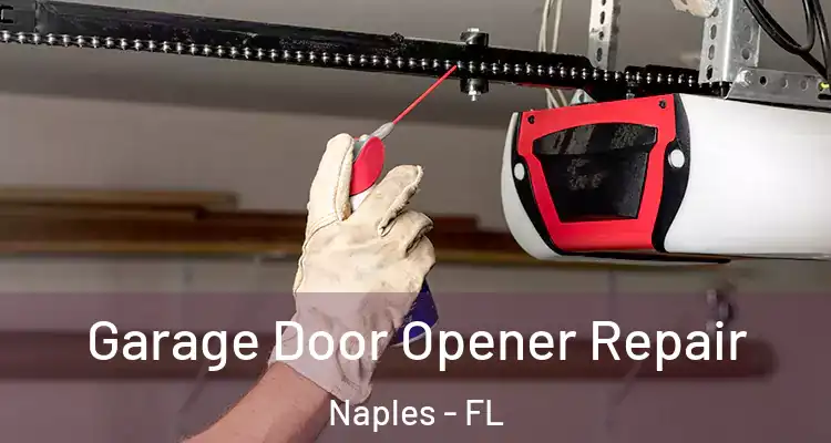  Garage Door Opener Repair Naples - FL