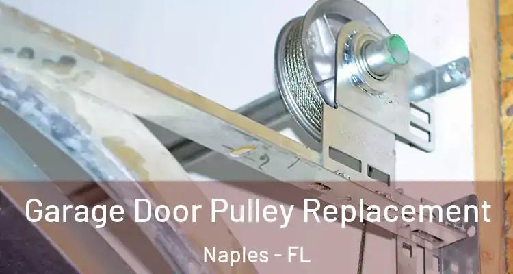 Garage Door Pulley Replacement Naples - FL