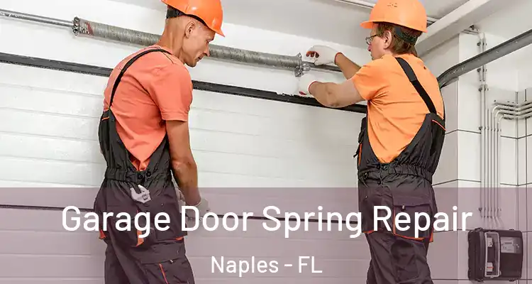  Garage Door Spring Repair Naples - FL
