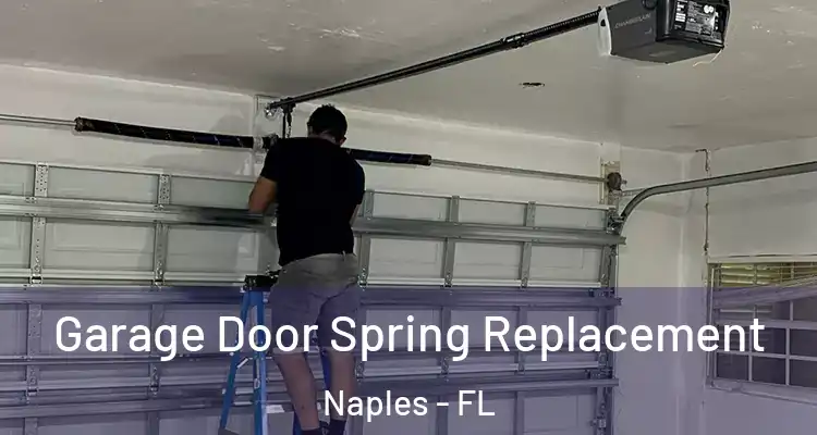  Garage Door Spring Replacement Naples - FL