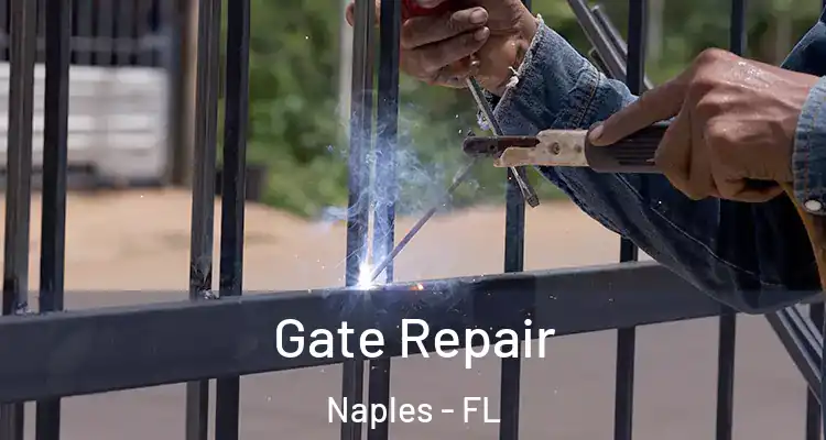  Gate Repair Naples - FL