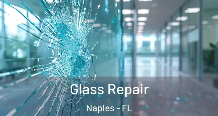  Glass Repair Naples - FL