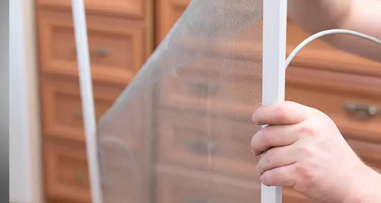 Privacy Mesh Screen Door Installation in Naples, FL