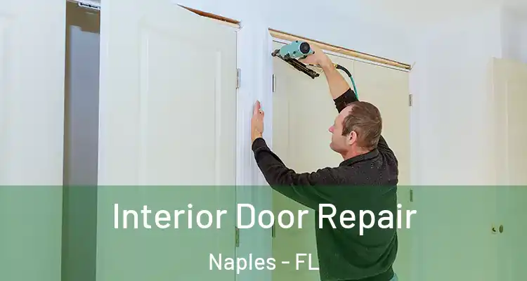  Interior Door Repair Naples - FL