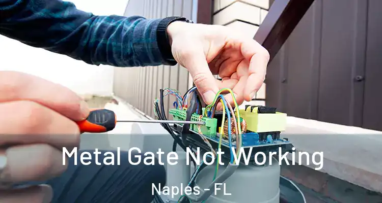 Metal Gate Not Working Naples - FL