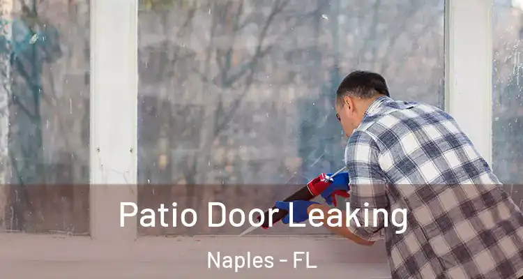  Patio Door Leaking Naples - FL