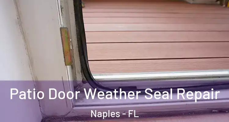  Patio Door Weather Seal Repair Naples - FL