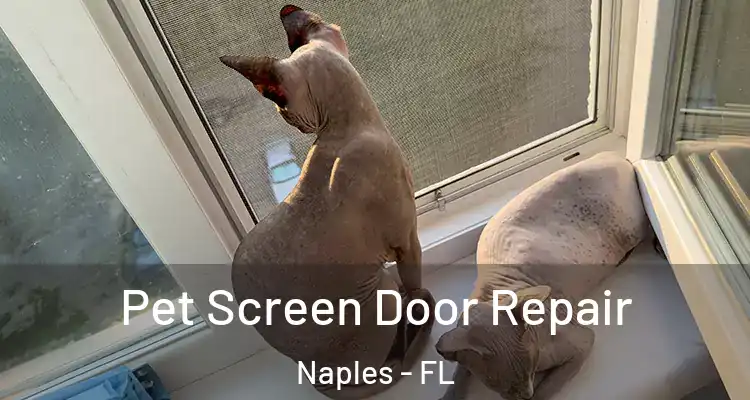  Pet Screen Door Repair Naples - FL
