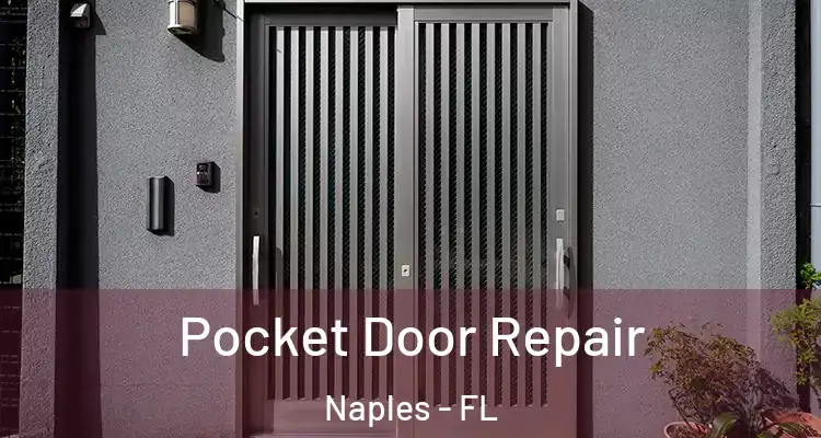  Pocket Door Repair Naples - FL