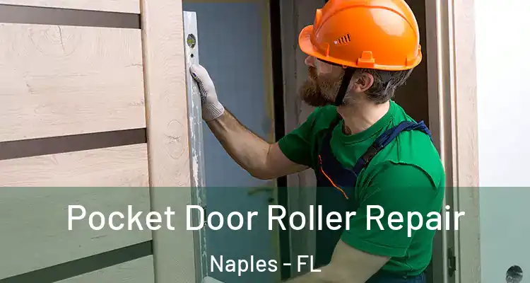  Pocket Door Roller Repair Naples - FL