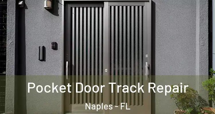  Pocket Door Track Repair Naples - FL