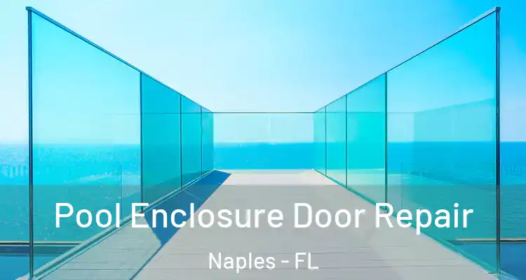  Pool Enclosure Door Repair Naples - FL
