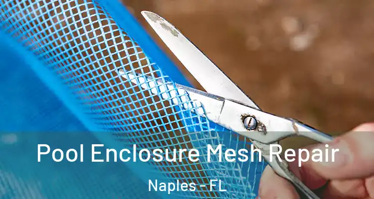  Pool Enclosure Mesh Repair Naples - FL