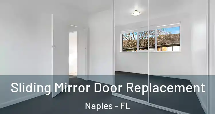  Sliding Mirror Door Replacement Naples - FL