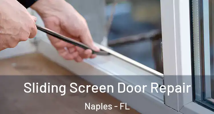  Sliding Screen Door Repair Naples - FL