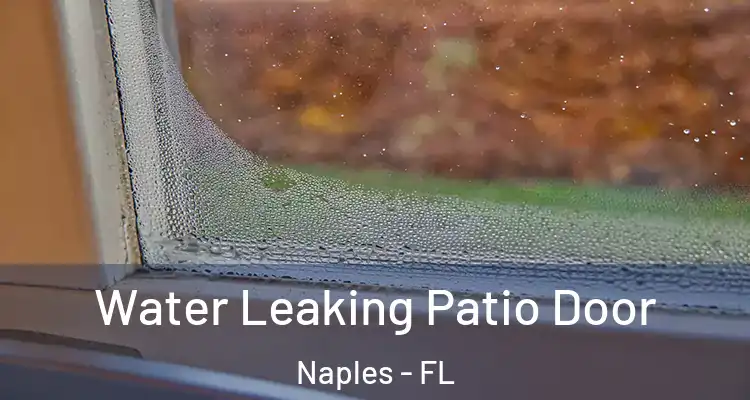  Water Leaking Patio Door Naples - FL
